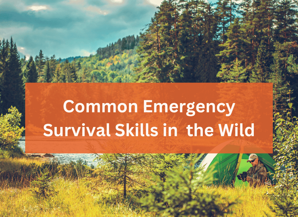 Common Emergency Survival Skills in  the Wild