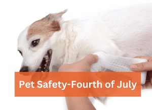 Pet Safety-Fourth of July
