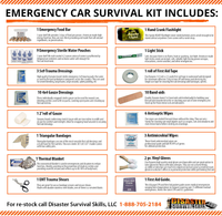 Car Survival Kit